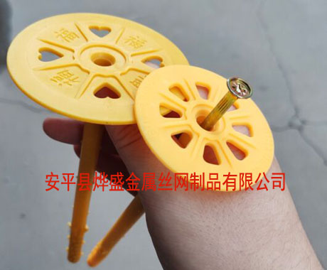 錨固釘